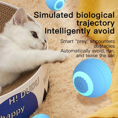 “Automatic Teasing Cat Ball Toy – Interactive Smart Rolling Pet Toy USA”