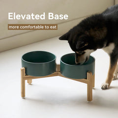 “Modern Elevated Pet Feeding Bowl Set – Raised Dog & Cat Feeder