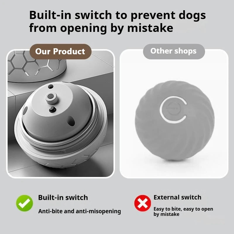 are pigs smarter than dogs are cats smarter than dogs most smart dog breeds smart dogs are dogs smarter than cats how smart are dogs smart dog are cats or dogs smarter   smart dog breeds smart dog door
