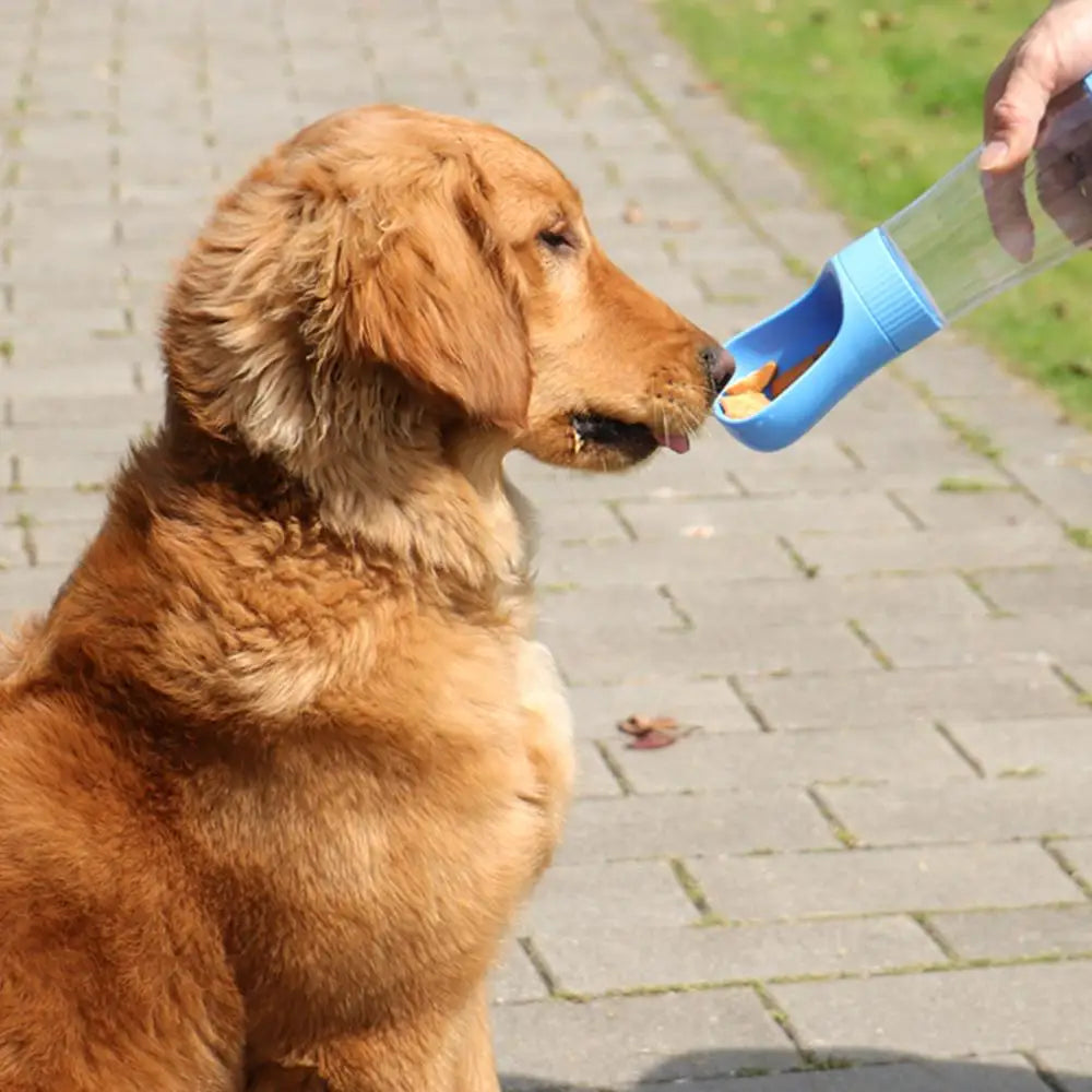 dog water bottle bottle of water for dogs  dog water drinking bottle  water dog bottle bottled water dogs dog with water bottle  dog food and water bottle   water bottle for dogs portable dog water bottle dog travel water bottle