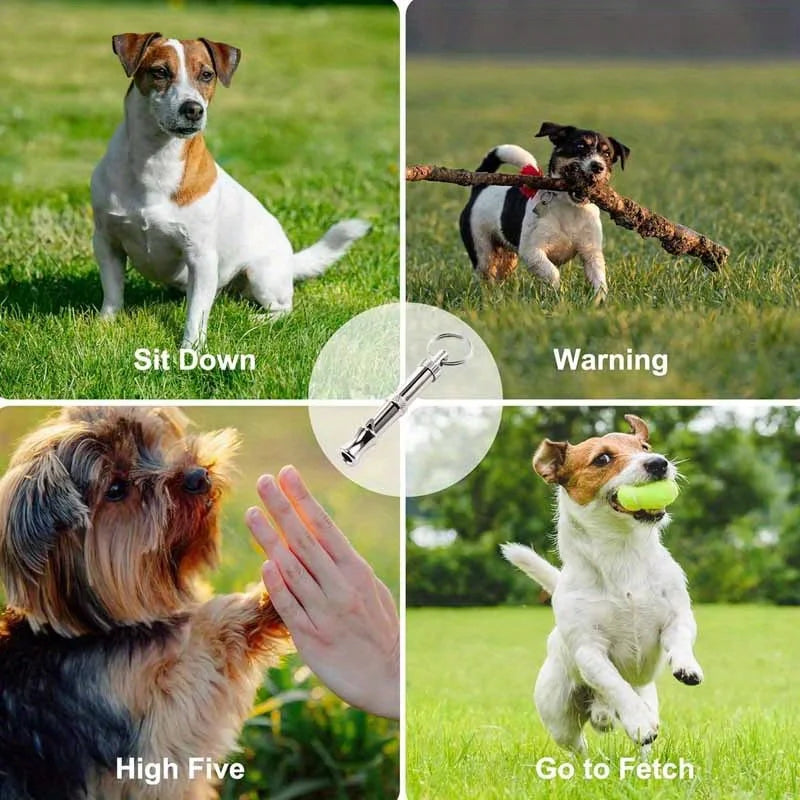 dog whistle to stop barking dog whistle to silence dogs dog whistle sound to stop barking dog whistles to stop barking   how to use a dog whistle what does a dog whistle do to dogs