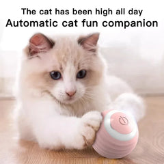 “Automatic Teasing Cat Ball Toy – Interactive Smart Rolling Pet Toy USA”