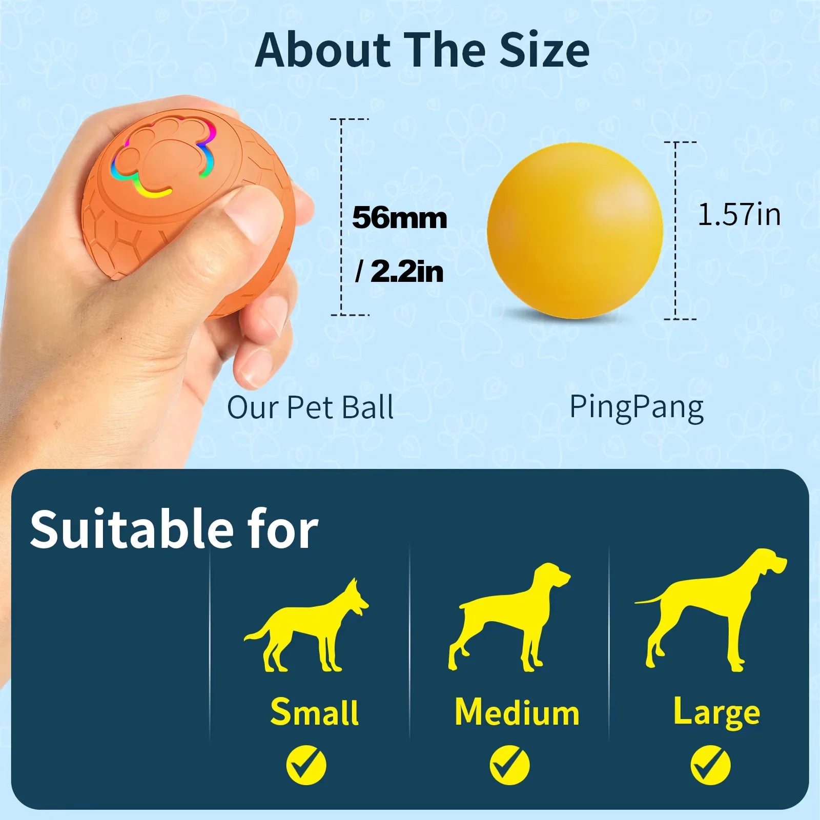 are pigs smarter than dogs are cats smarter than dogs most smart dog breeds smart dogs are dogs smarter than cats how smart are dogs smart dog are cats or dogs smarter   smart dog breeds smart dog door